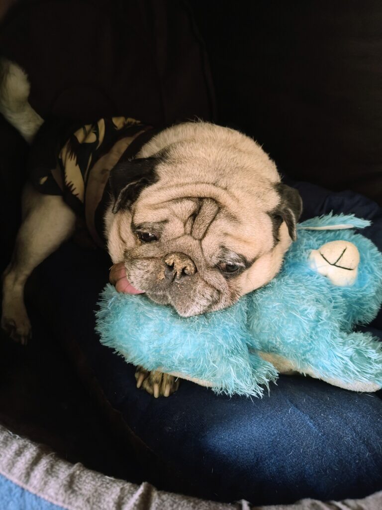 IMG_20251220_133114664~2