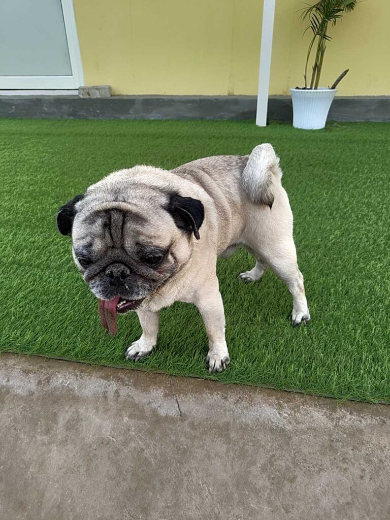 IMG_20251221_165007290