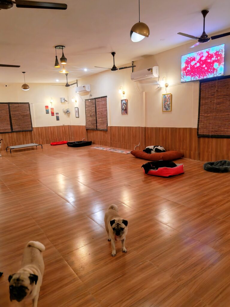 IMG_20251225_182913017~2