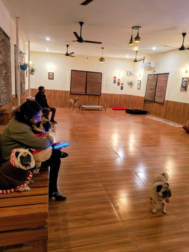 IMG_20251225_182915382~2