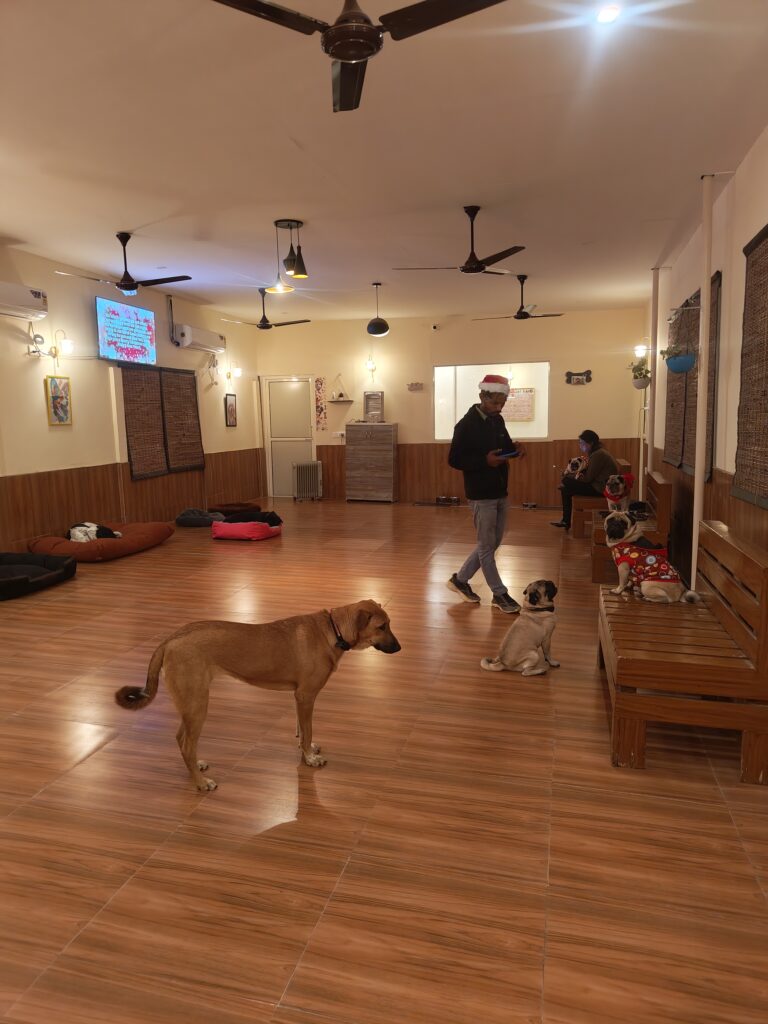 IMG_20251225_184212541