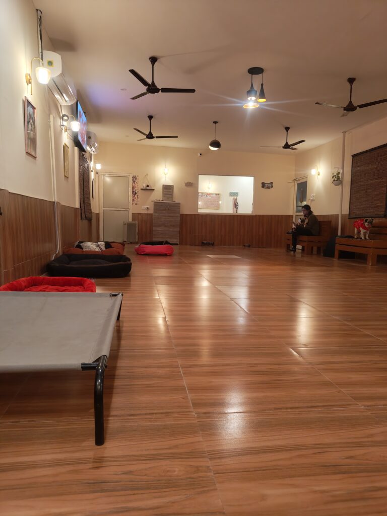 IMG_20251225_184228672