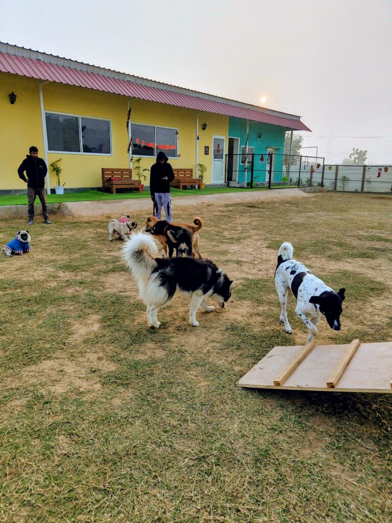 IMG_20251229_163723970~2