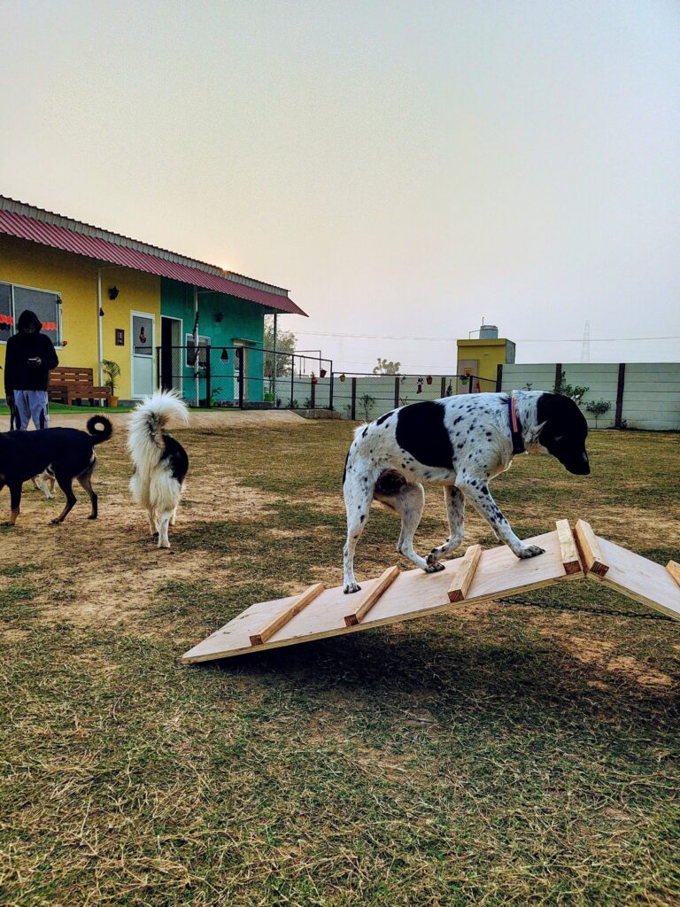 IMG_20251229_163725404~2