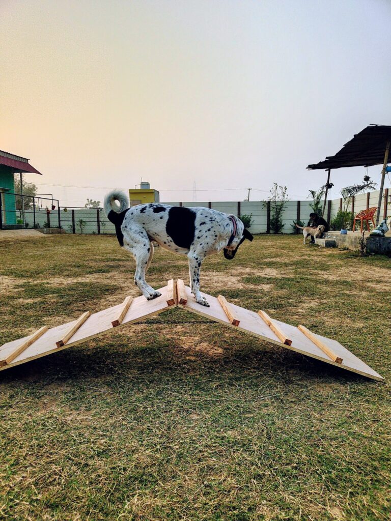 IMG_20251229_163726900~2