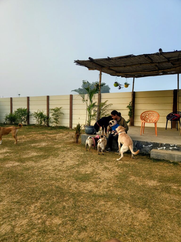 IMG_20251229_164629891~2