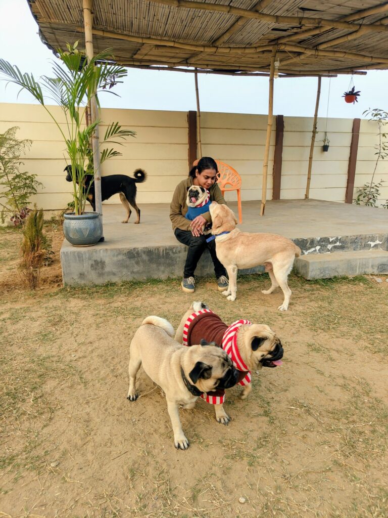 IMG_20251229_164646282~2