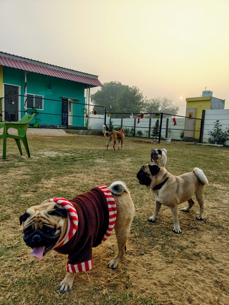 IMG_20251229_164706578~2