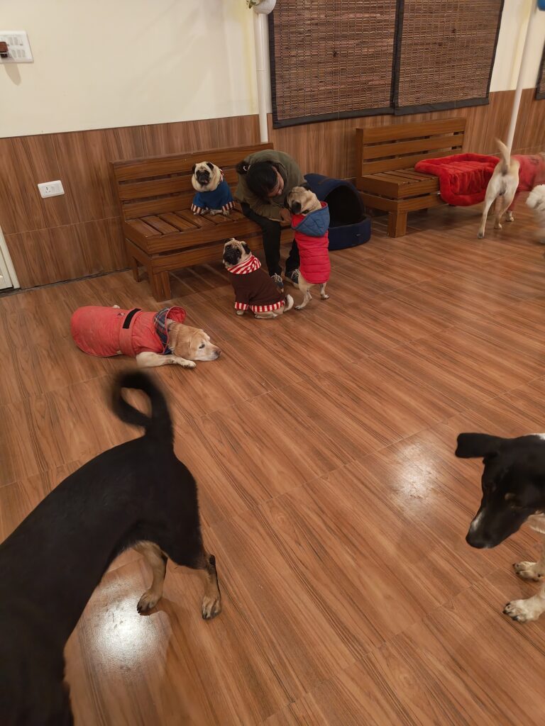 IMG_20251229_190518589