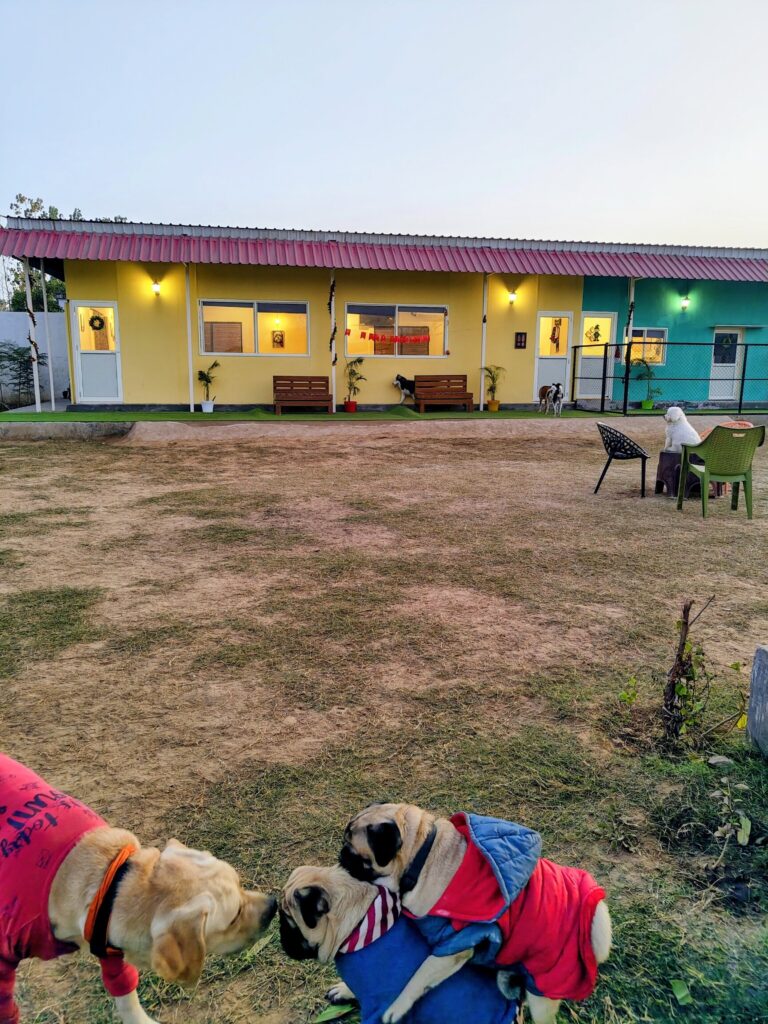 IMG_20251230_175010201~2