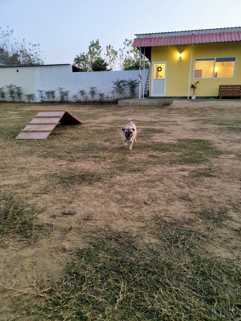 IMG_20251230_175047017~2