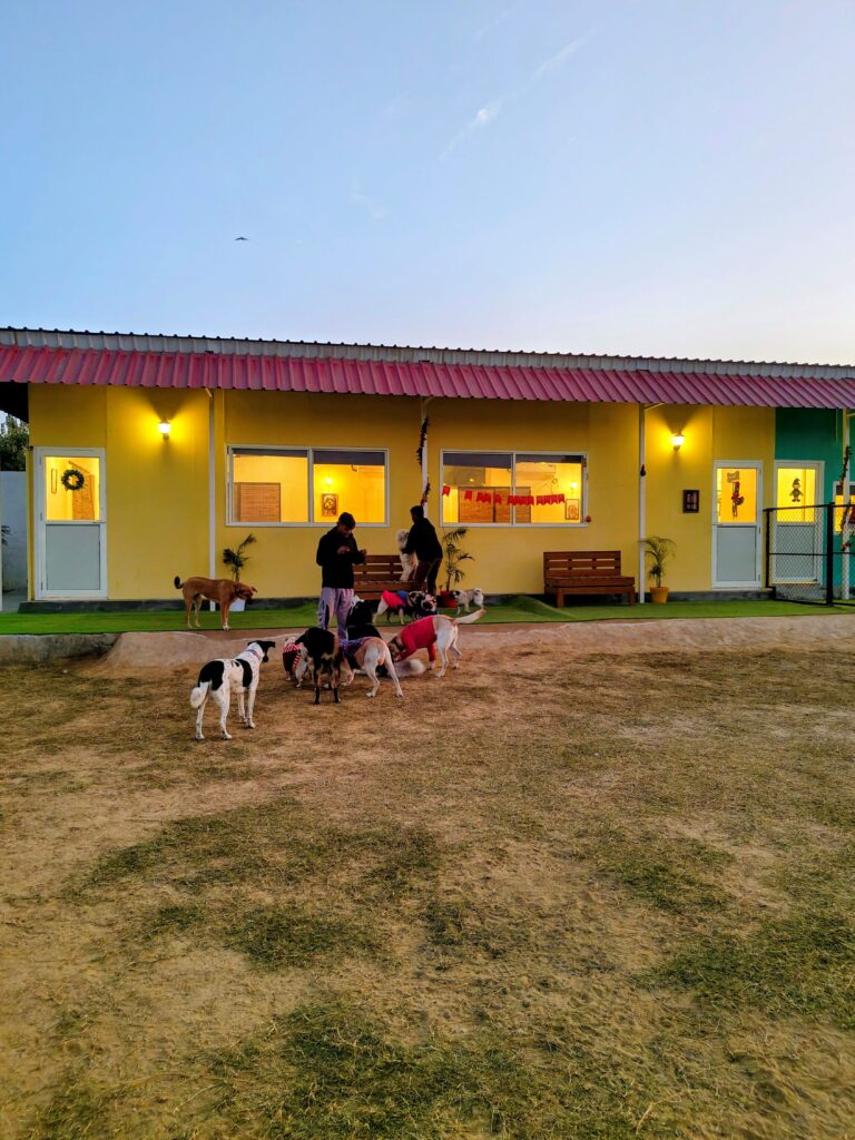 IMG_20251230_175422886~2