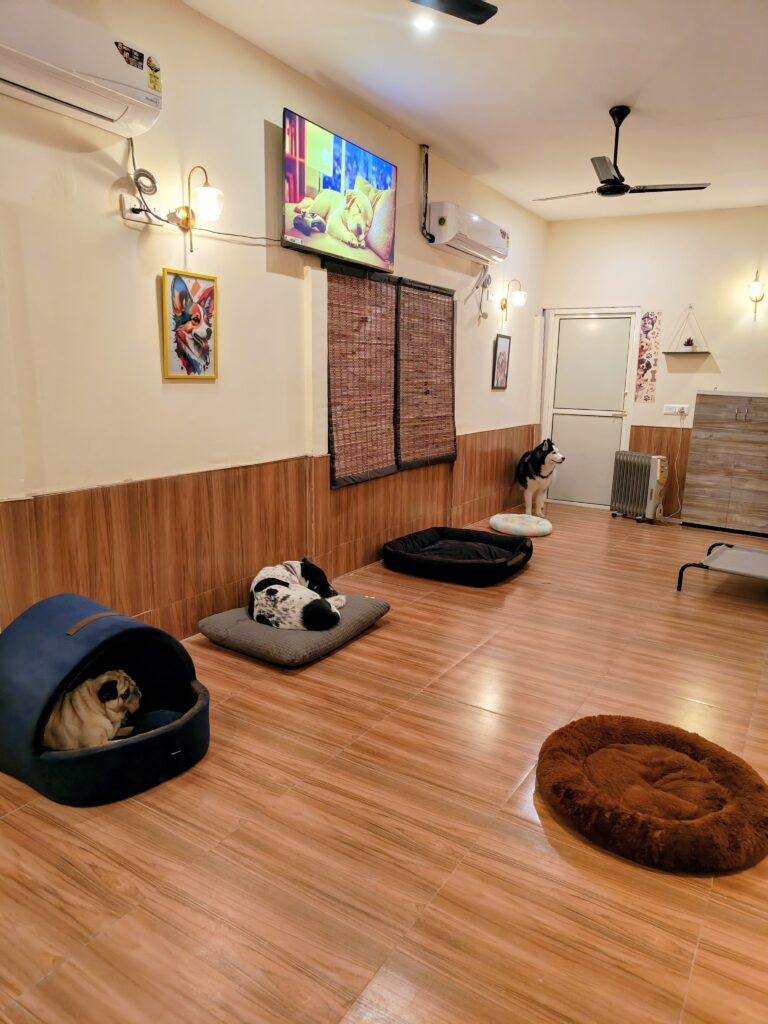 IMG_20251230_182137925~2