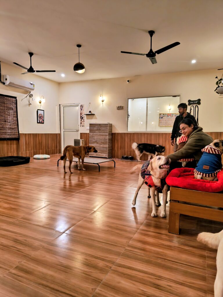 IMG_20251230_182228551~2