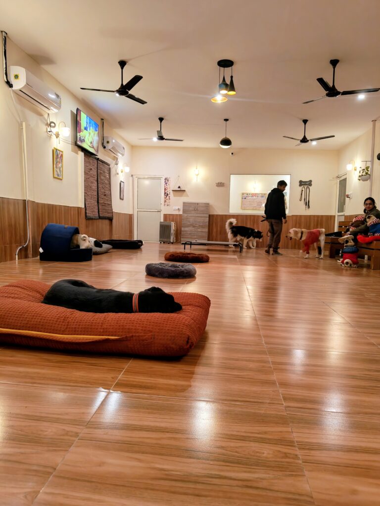 IMG_20251230_182627680~2