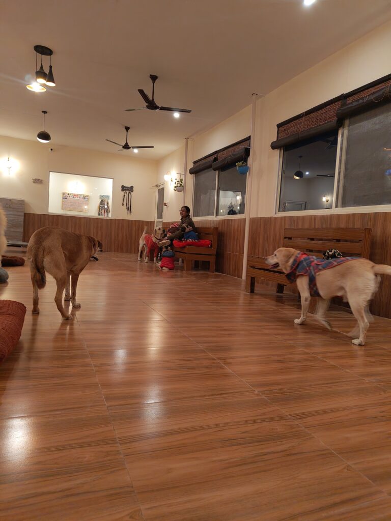 IMG_20251230_182645043