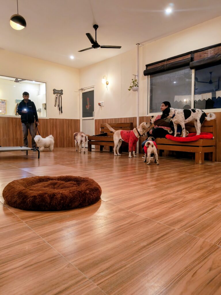 IMG_20251230_183032718~2