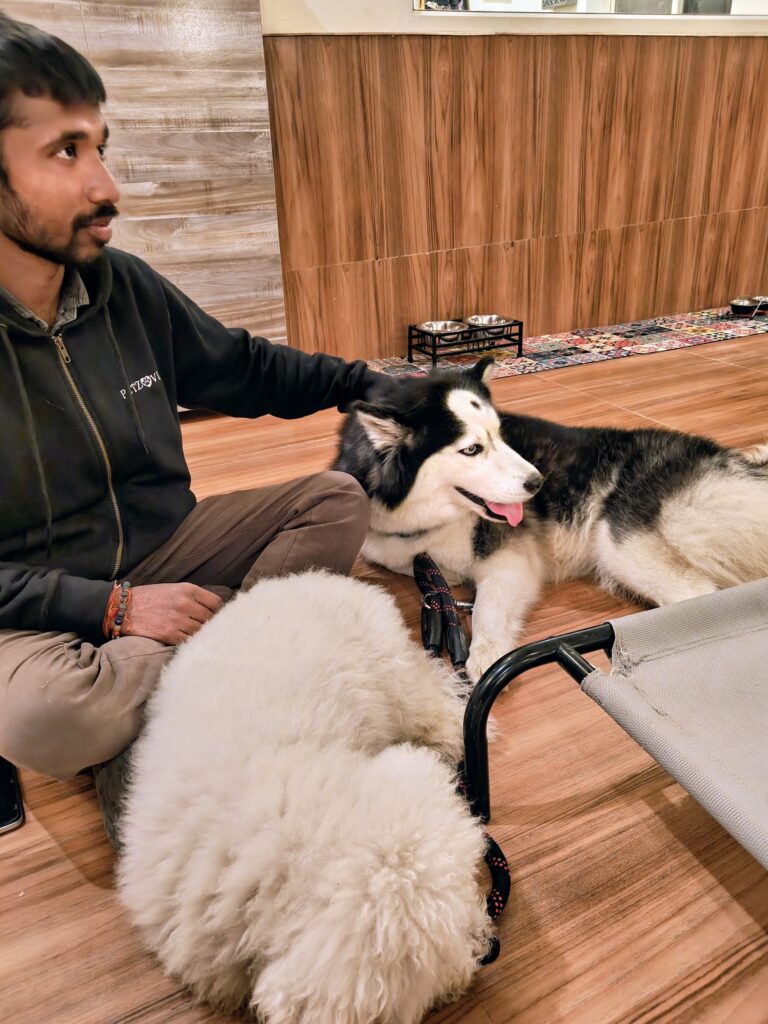 IMG_20251230_183635738~2