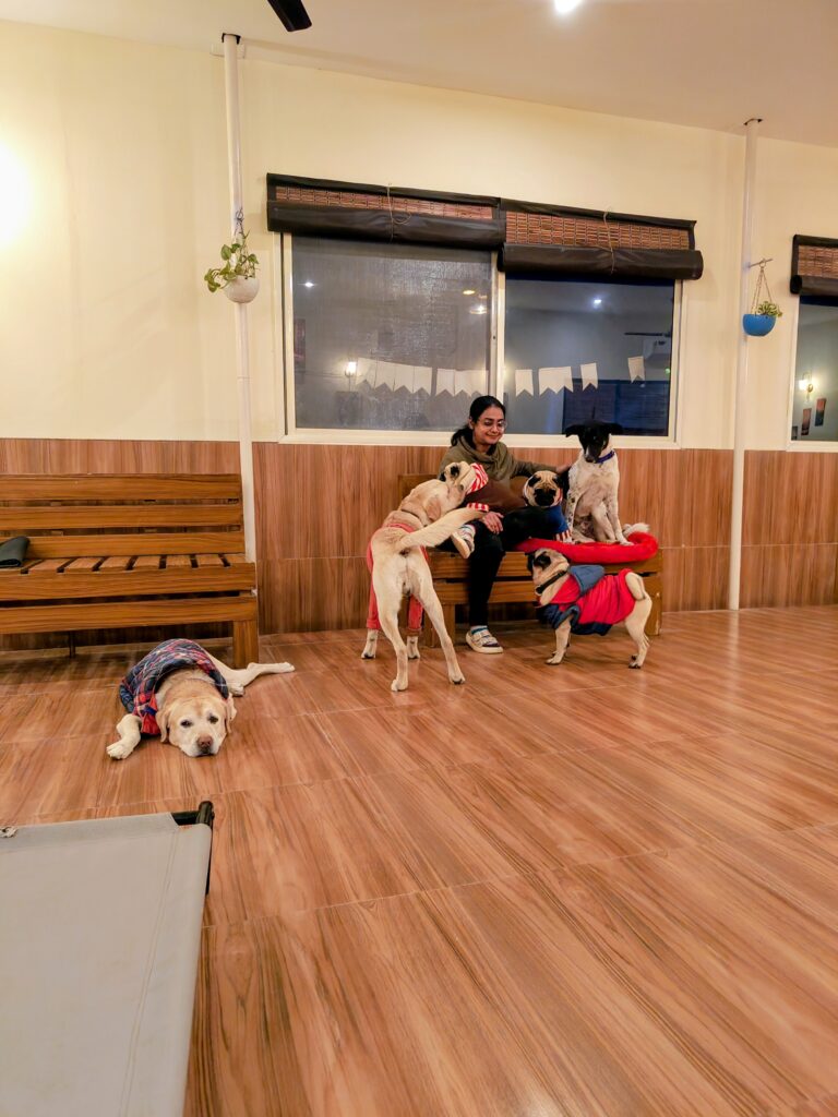 IMG_20251230_183640354~2